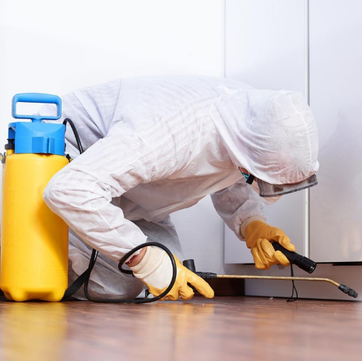 Disinfestazione e Derattizzazione